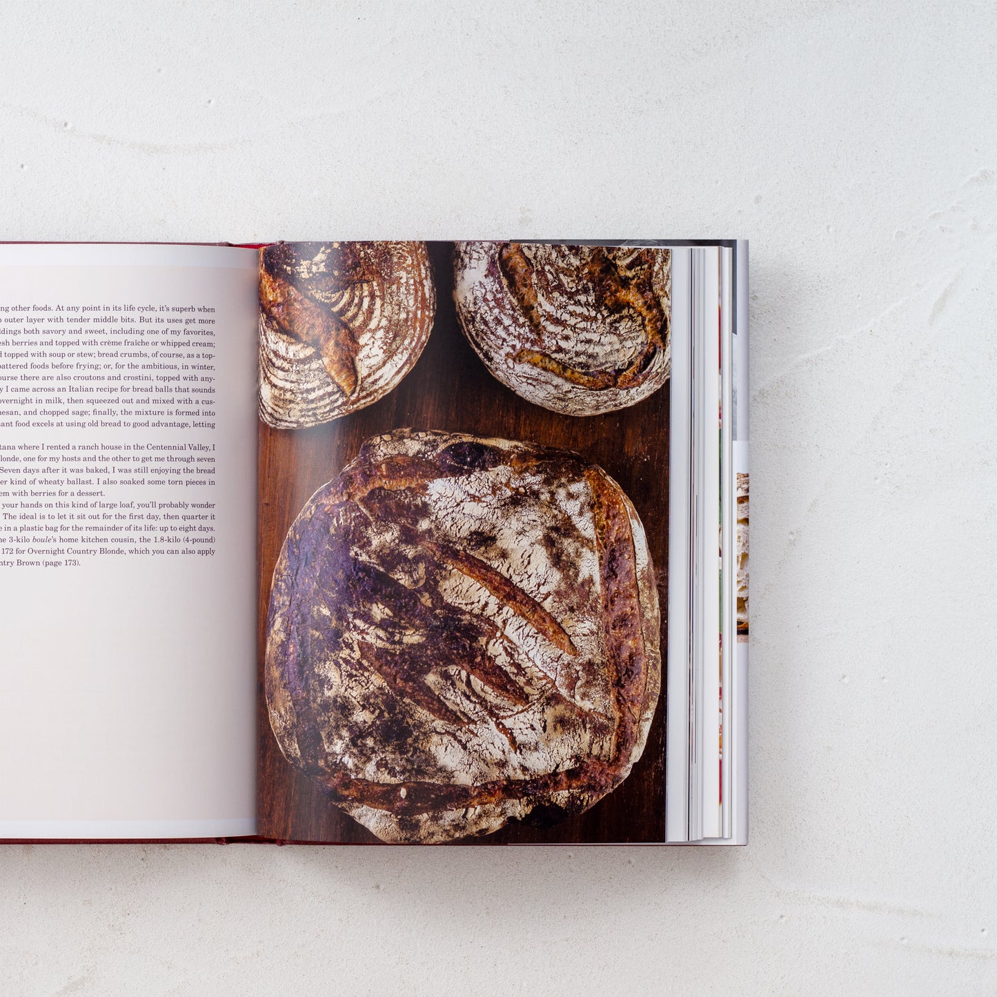 Flour Water Salt Yeast